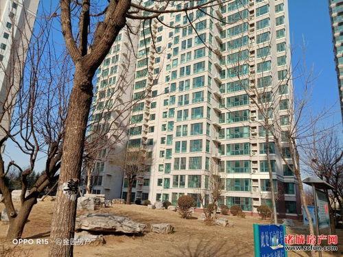 诸城半岛爆料最新消息今天,今日热点事件深度解析  第1张