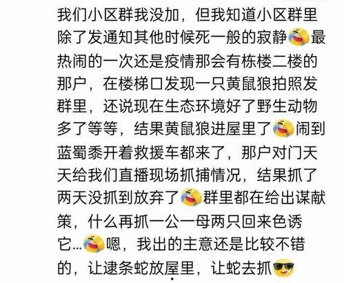 娱乐吃瓜群名叫什么名字,揭秘“娱乐吃瓜群”背后的热点事件与趣味瞬间 第2张 娱乐吃瓜群名叫什么名字,揭秘“娱乐吃瓜群”背后的热点事件与趣味瞬间 第2张